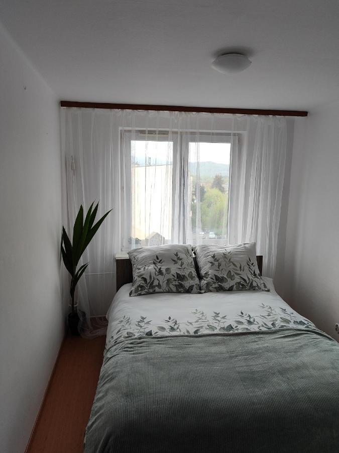 Apartament Sweet Dreams Apartment Sanok Bagian luar foto